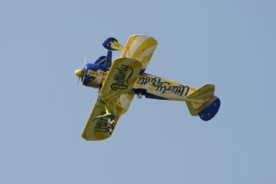 31_wingwalk3.jpg