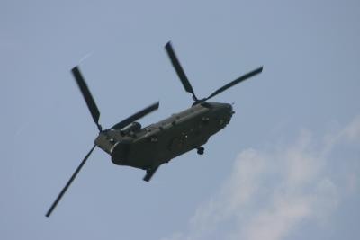 RAF chinook demo_rules!
