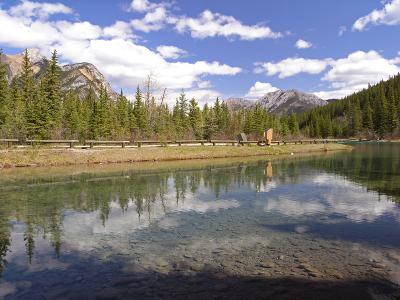 Lorette Ponds