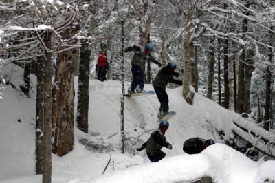 High pines glade.jpg