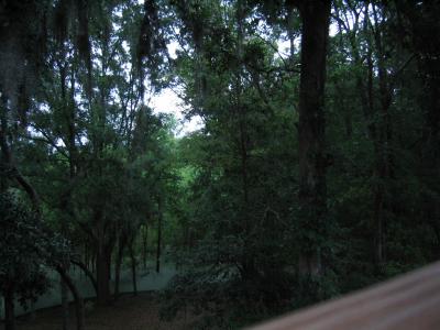 IMG_0911.JPG