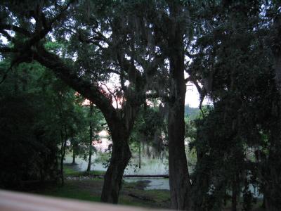 IMG_0912.JPG