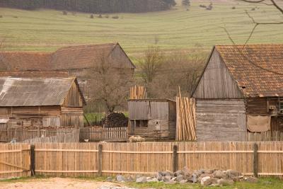 Sheep farm