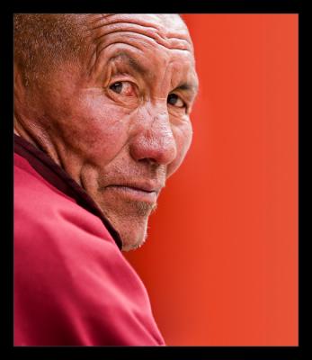 ladakh portraits & others