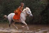 horse monk 1370-02208.jpg