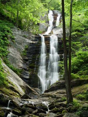 Toms Creek Falls 1