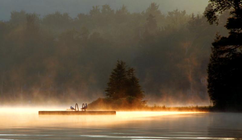 Birds on the Dock 1 r.jpg