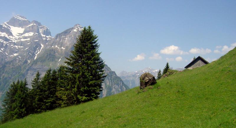 Brandalp