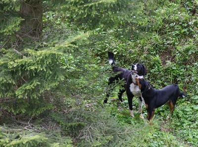 Gina und Boby