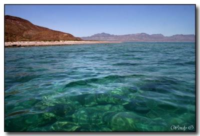 Clear Waters