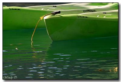 Green Reflections