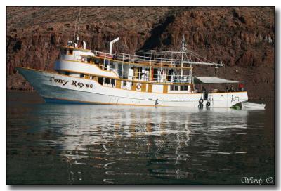 The Boat