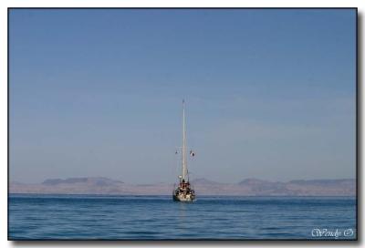 One Sailboat