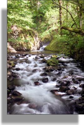 u26/wildwillie/medium/44054384.BridalVeilcreekbelowfalls.jpg