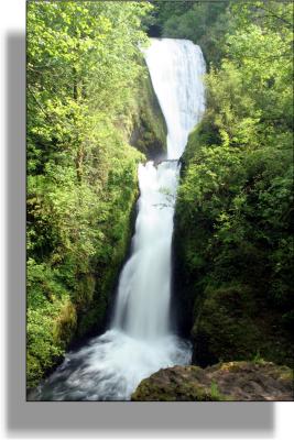 u26/wildwillie/medium/44054385.BridalVeilfalls.jpg