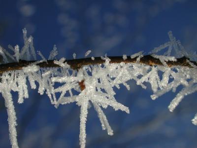 frosty macro