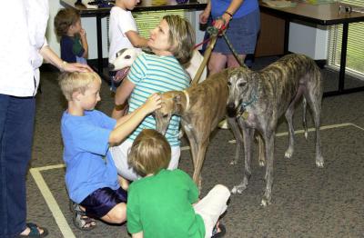 Greyhound meet and greet in Milwood