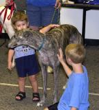 Greyhound meet and greet in Milwood