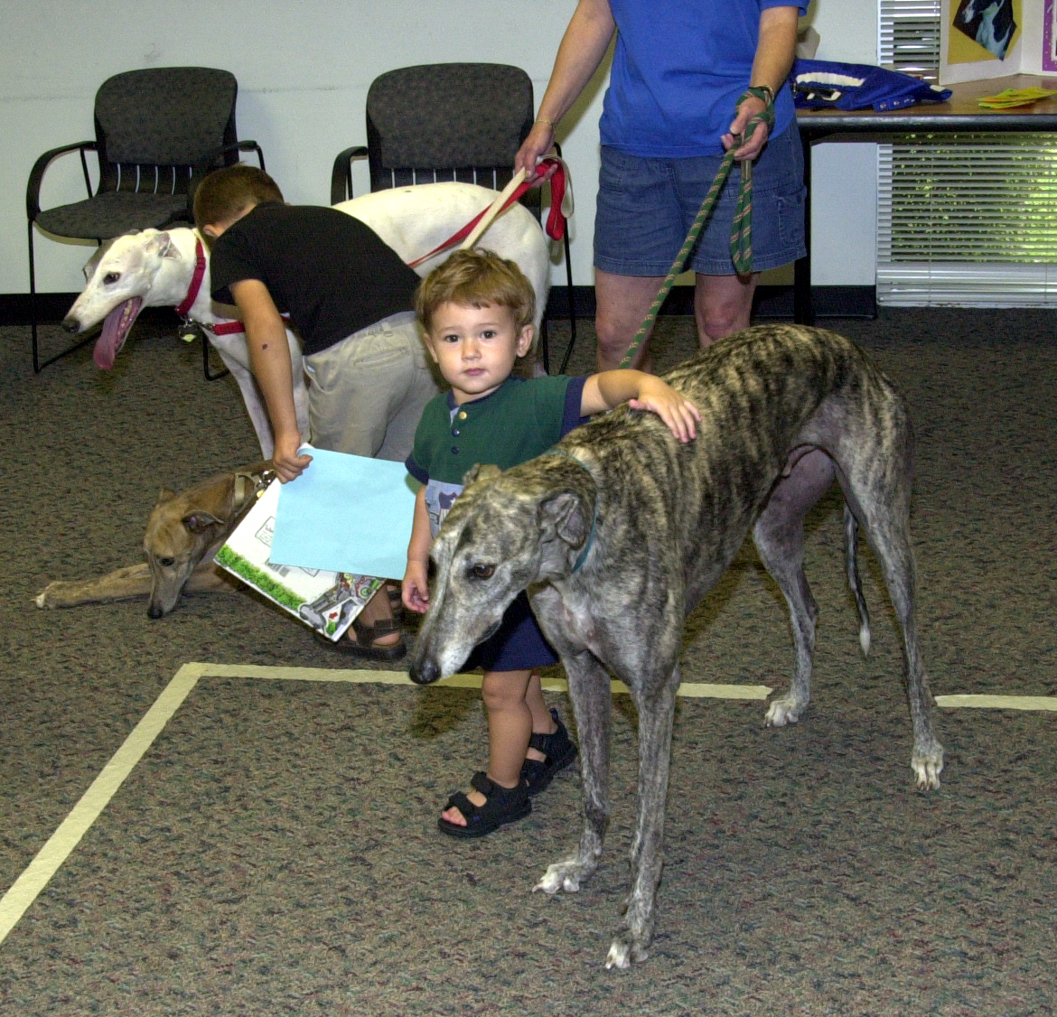 Greyhound meet and greet in Milwood