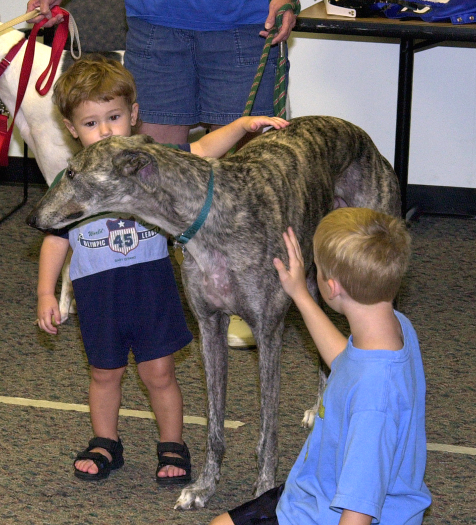 Greyhound meet and greet in Milwood