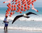 Seagull Man.jpg
