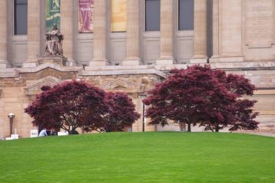 CRW_7630-1.jpg