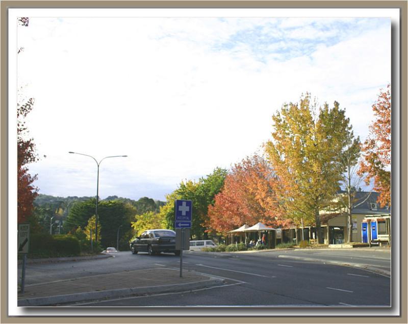 Stirling shopping precinct in autumn