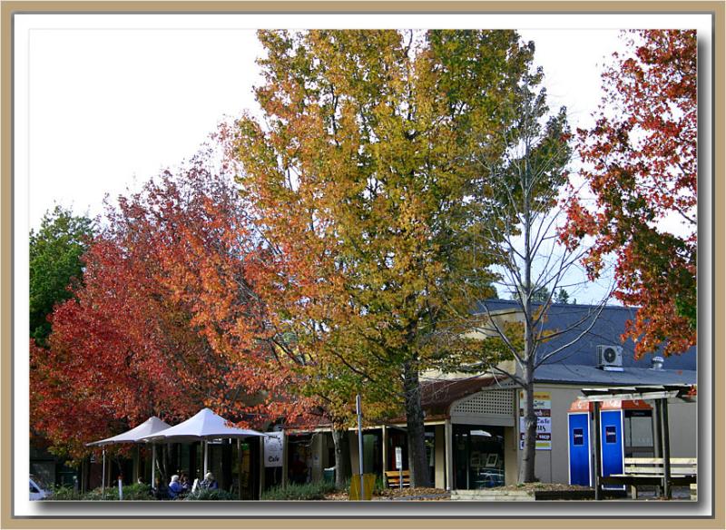 Stirling shopping precinct in autumn