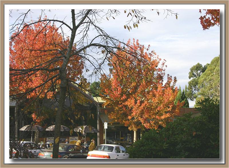 Stirling shopping precinct in autumn