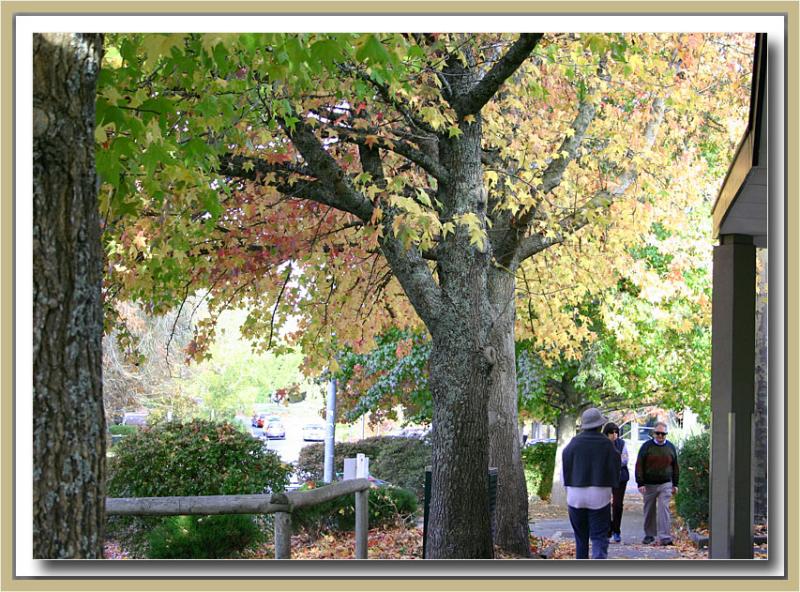 Stirling shopping precinct in autumn