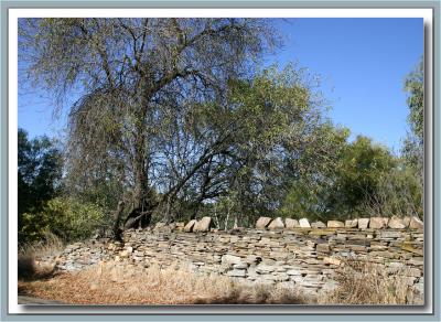 Old garden wall