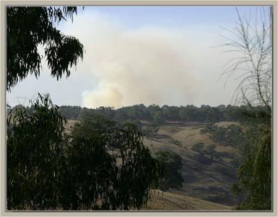 Smoke from bushfire