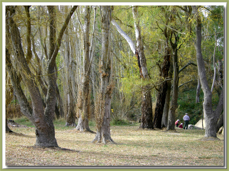 By the creek in May 05