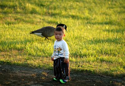 IMG_1010c.jpg