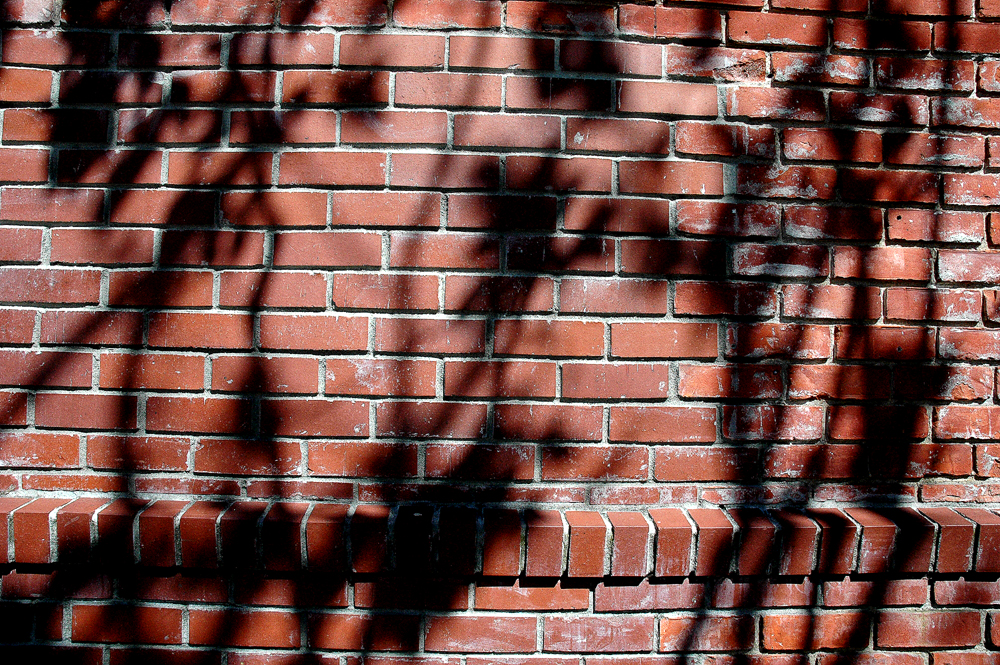 20050515 / Up Against