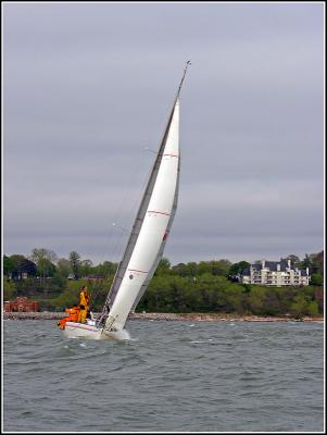 DSCN9848.jpg