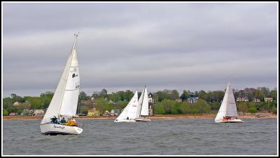 DSCN9890.jpg