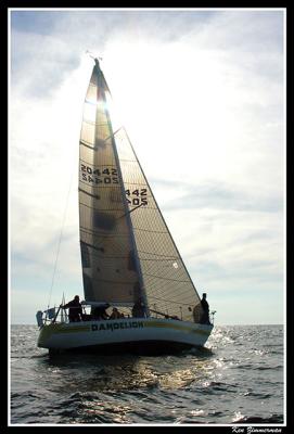 DSCN0409.jpg