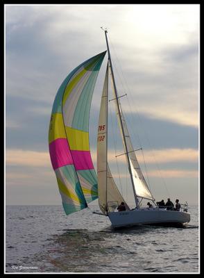DSCN0437.jpg