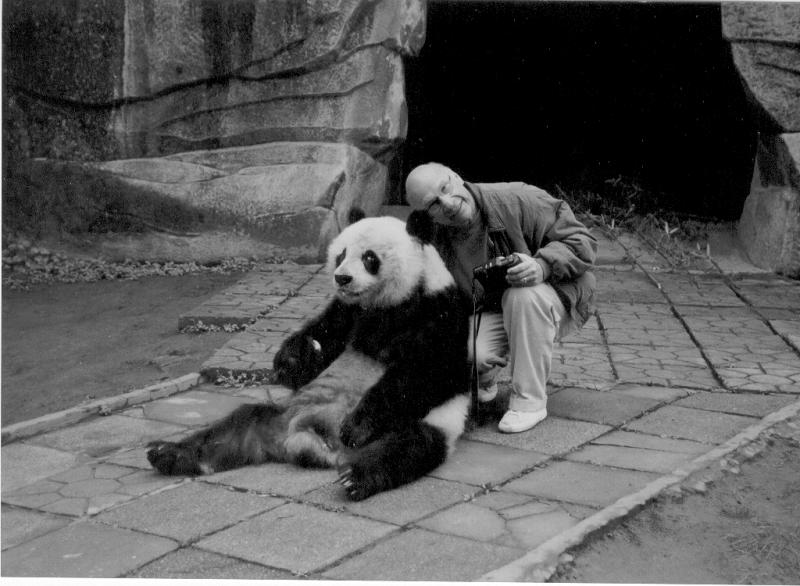  panda chungking china zoo