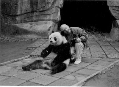  panda chungking china zoo