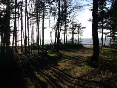 u26/zobroc/medium/43982589.campingplagedeTroispistoles.jpg