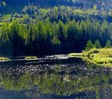 lac qubecois