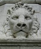 le lion