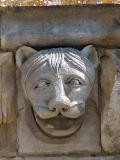 lion à cheveux