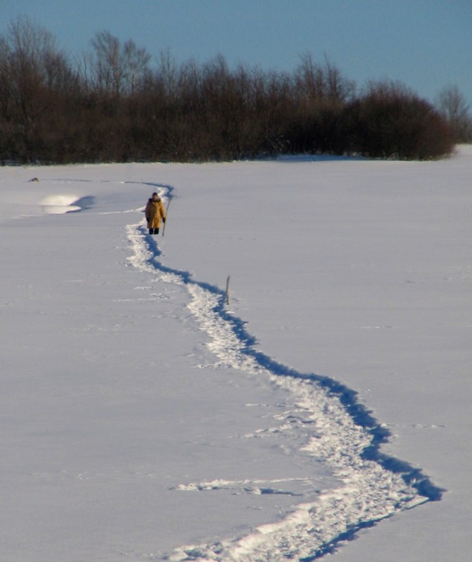 le sentier de neige