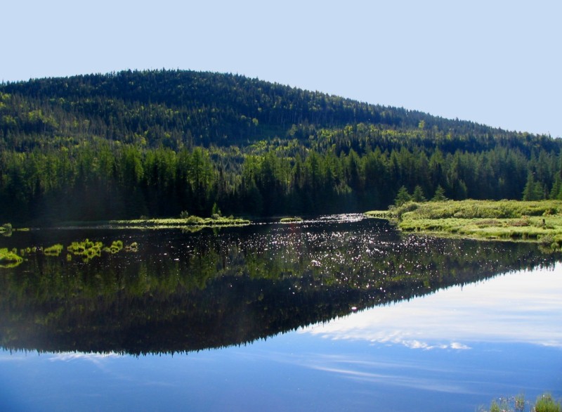 paysage du parc des Laurentides