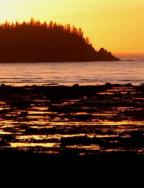 mare basse et coucher orange