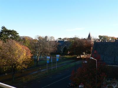 View from Christchurch's hostel