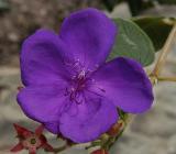DSC_7041 copy.jpg